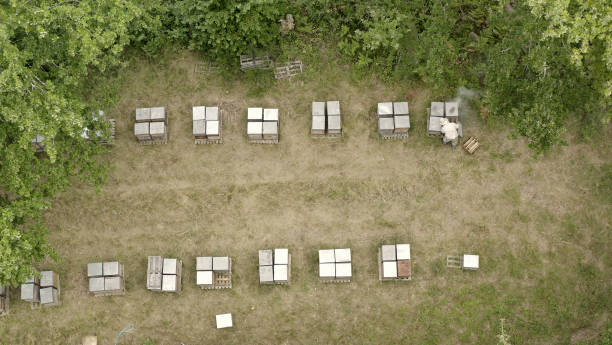Photo of ariel view of apiary